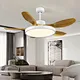  ventiladores de techo de 5 aspas